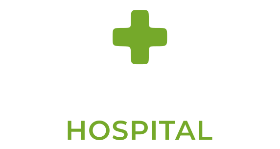 SkyMed Hospital Logo