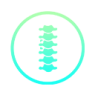 Spinal Surgery Spinal Surgery